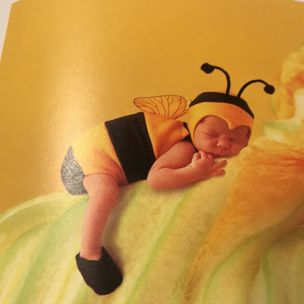ANNE GEDDES DOWN IN THE GARDEN NWOT - Picture 13 of 16